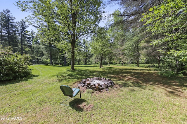159 Black Brook Rd, Savoy, MA 01256 - view of green lawn featuring an outdoor fire pit