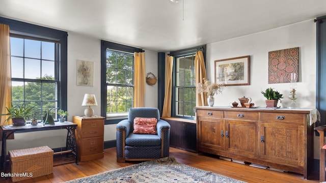 sitting room with wood-type flooring