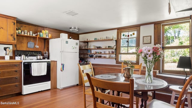 kitchen with plenty of natural light, light hardwood / wood-style floors, and white appliances