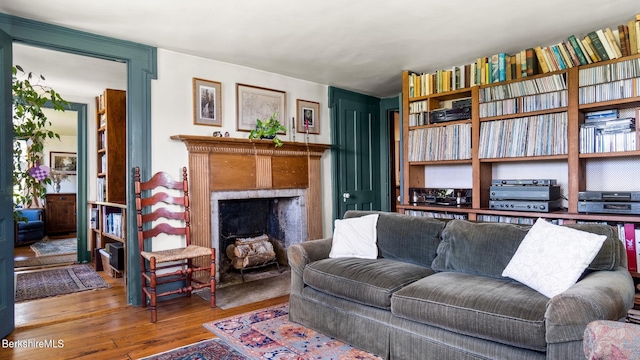 living room with wood-type flooring