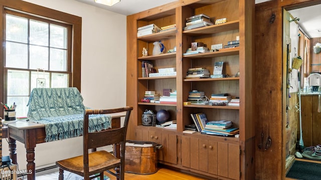 sitting room featuring a healthy amount of sunlight and light hardwood / wood-style floors