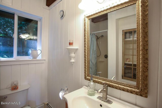 full bathroom featuring a sink, toilet, and curtained shower