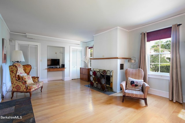311 N Plain Rd, Great Barrington, MA 01236 - sitting room featuring light wood finished floors, ornamental molding, a fireplace, and baseboards