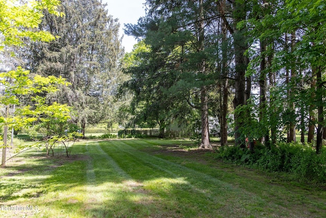 311 N Plain Rd, Great Barrington, MA 01236 - view of green lawn