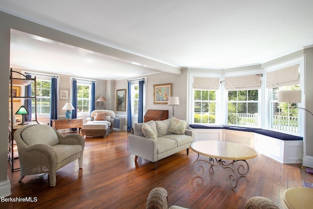 311 N Plain Rd, Great Barrington, MA 01236 - living room featuring wood finished floors and beamed ceiling