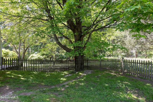 311 N Plain Rd, Great Barrington, MA 01236 - view of yard
