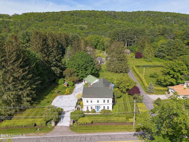 311 N Plain Rd, Great Barrington, MA 01236 - view from above of property featuring a forest