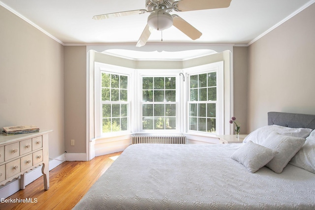311 N Plain Rd, Great Barrington, MA 01236 - bedroom featuring radiator, light wood-style floors, crown molding, baseboards, and a ceiling fan