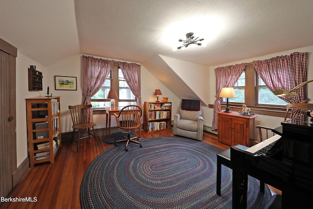 49 Main St, Stockbridge, MA 01262 - office featuring vaulted ceiling, wood finished floors, and a baseboard radiator