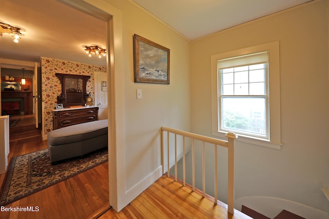 49 Main St, Stockbridge, MA 01262 - hallway with an upstairs landing, wood-type flooring, and crown molding