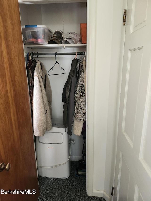 view of closet