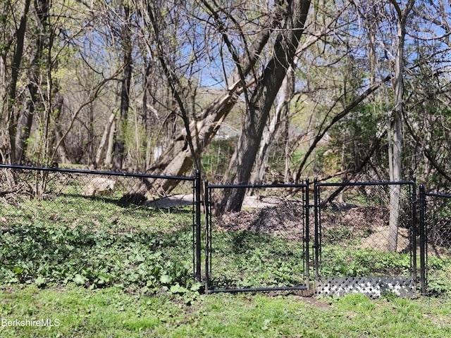 view of yard featuring fence and a gate