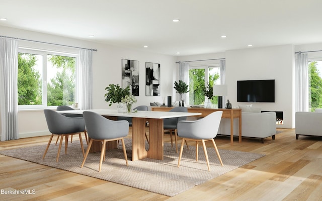 dining room featuring light hardwood / wood-style floors