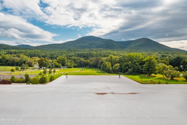 view of mountain feature