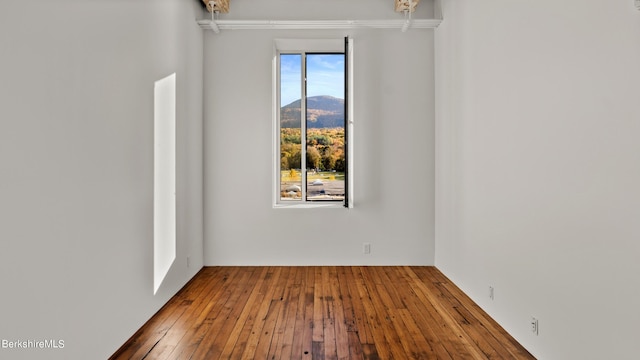 unfurnished room featuring a mountain view and wood-type flooring