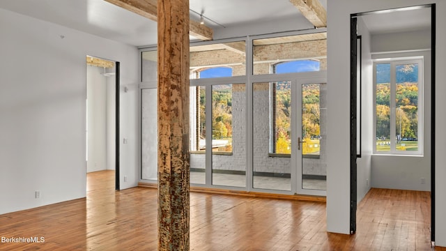 doorway featuring plenty of natural light, french doors, and light wood-type flooring