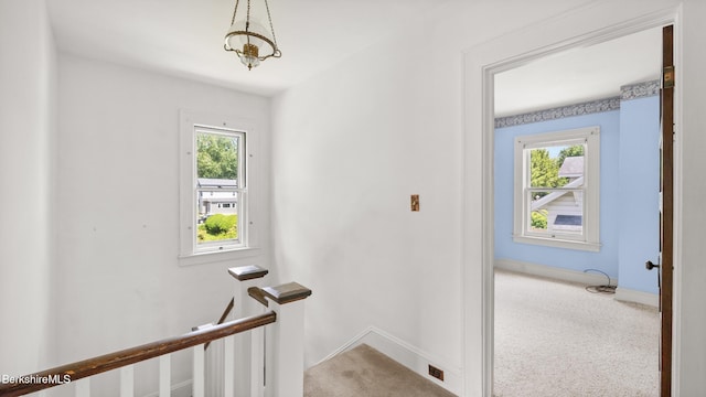 50 Harding St, Pittsfield, MA 01201 - hall featuring an upstairs landing, carpet flooring, and plenty of natural light