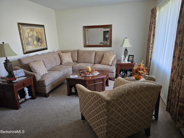 living area featuring carpet