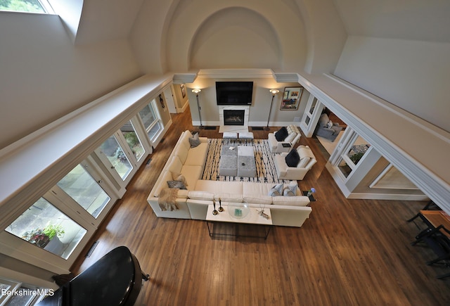 living room featuring hardwood / wood-style flooring and a high ceiling