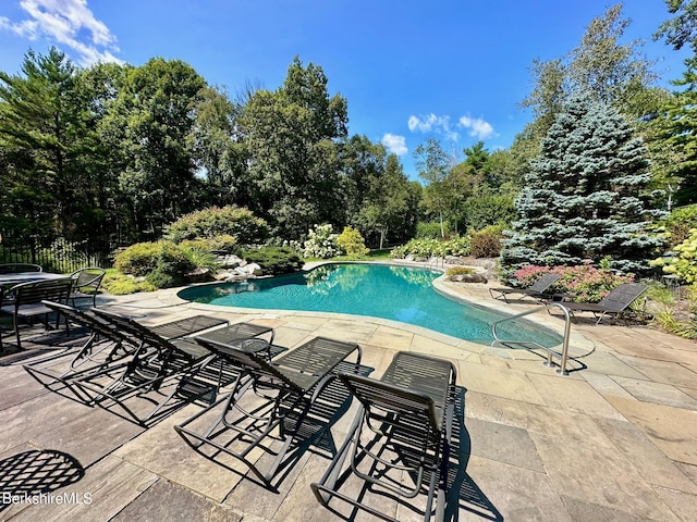 view of pool featuring a patio