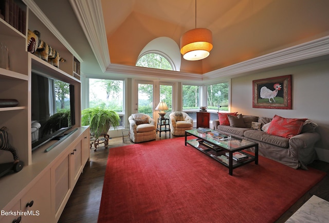 living room with a high ceiling and dark hardwood / wood-style flooring