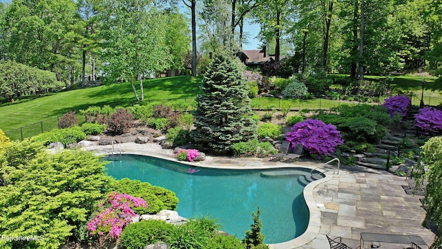 view of pool with a lawn and a patio area