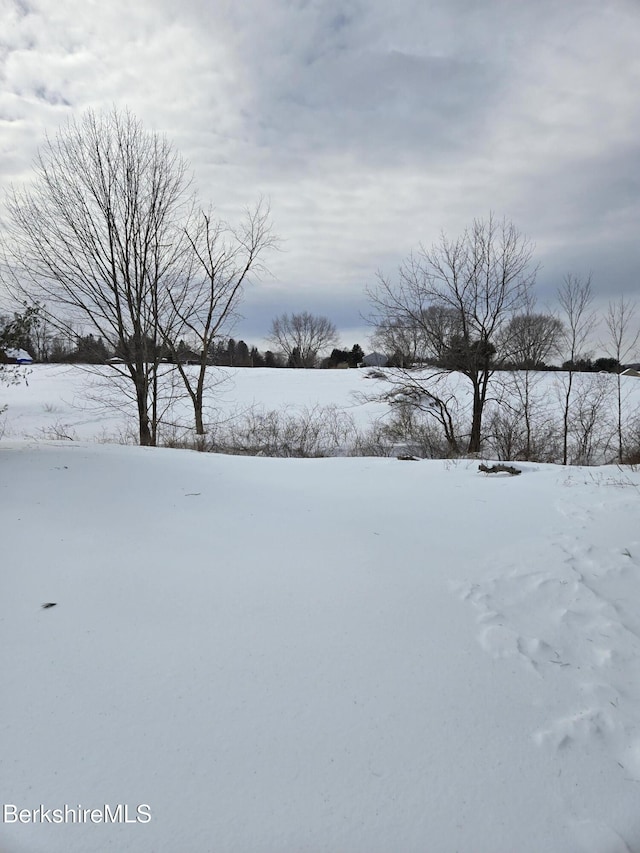 view of yard layered in snow