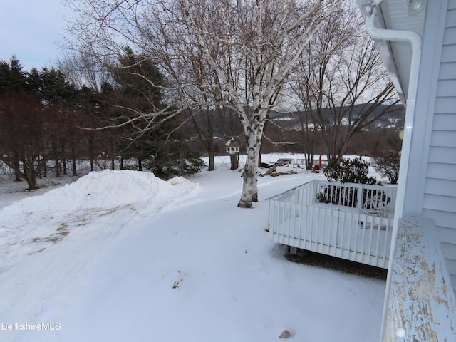 view of yard covered in snow