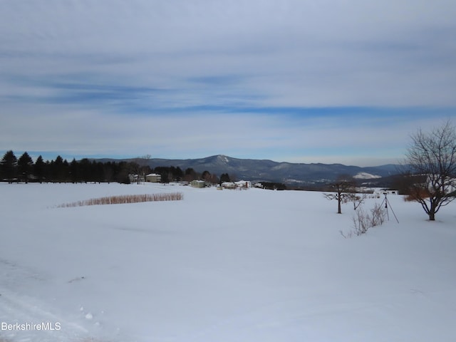 yard layered in snow featuring a mountain view