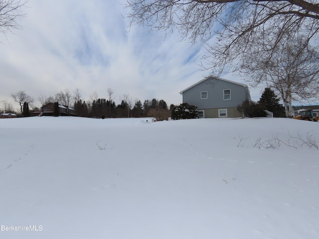 view of yard covered in snow