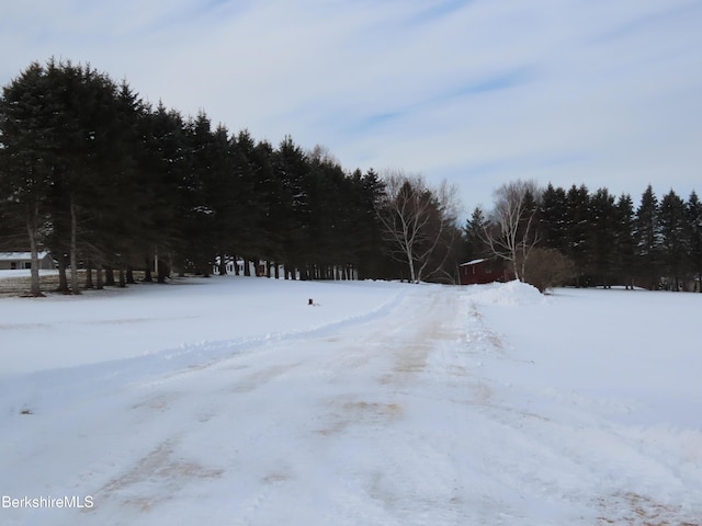 view of yard covered in snow