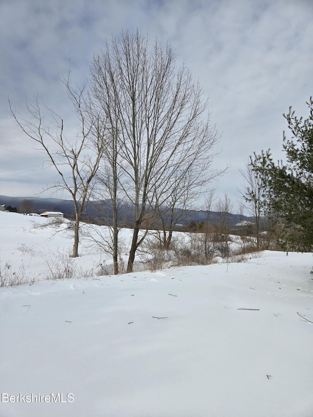 view of yard covered in snow