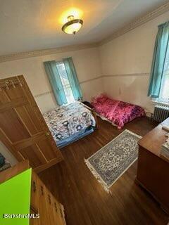 bedroom featuring wood-type flooring, radiator heating unit, and multiple windows