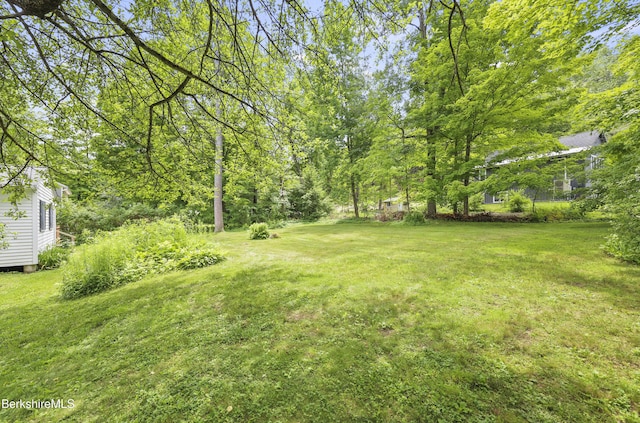 65 Pease Ter, Lee, MA 01238 - photo 45
