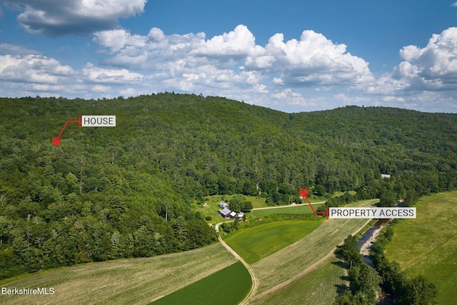66 Reils Ln, Colrain, MA 01340 - photo 2