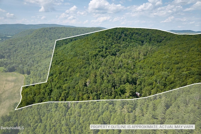 66 Reils Ln, Colrain, MA 01340 - photo 31
