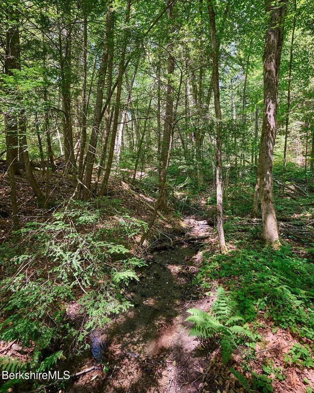 66 Reils Ln, Colrain, MA 01340 - photo 26