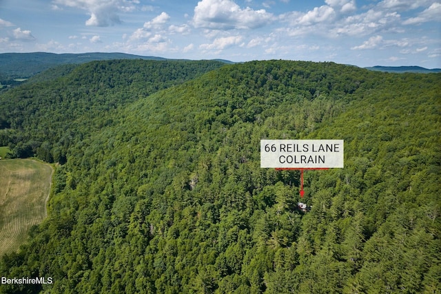 66 Reils Ln, Colrain, MA 01340 - photo 33