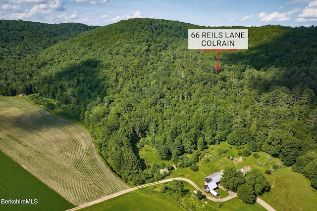 66 Reils Ln, Colrain, MA 01340 - photo 30