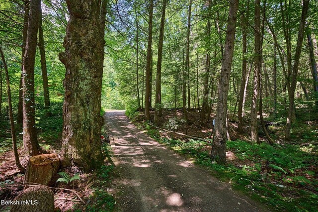 66 Reils Ln, Colrain, MA 01340 - photo 27