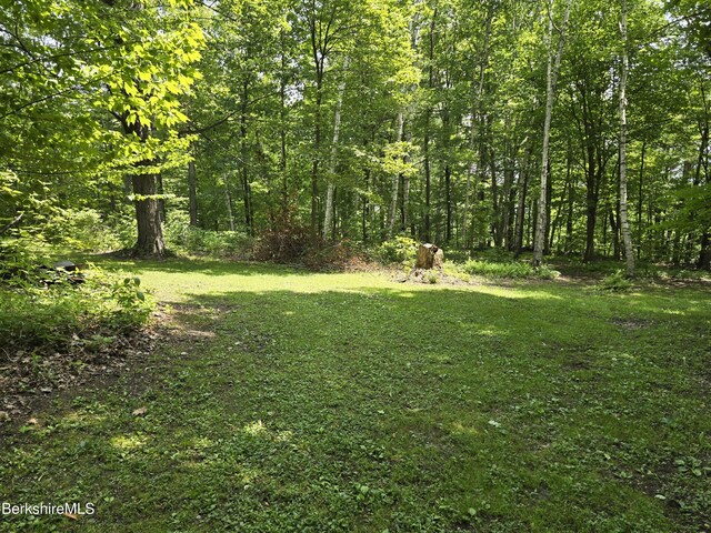 192 Curran Rd, Cheshire, MA 01225 - photo 35