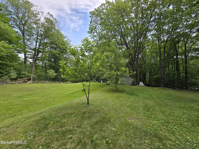 192 Curran Rd, Cheshire, MA 01225 - photo 26