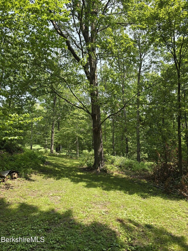 192 Curran Rd, Cheshire, MA 01225 - photo 34