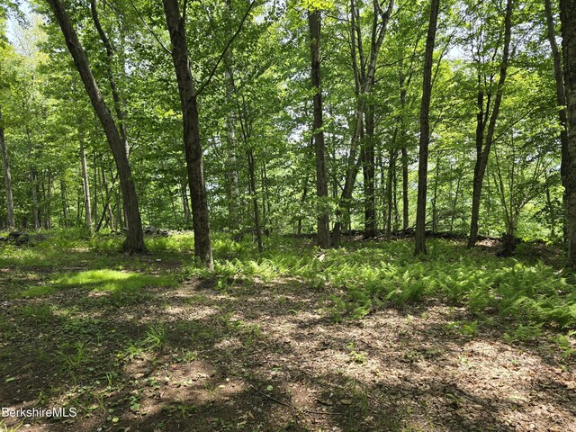 192 Curran Rd, Cheshire, MA 01225 - photo 31