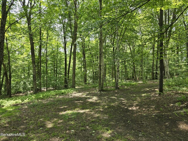 192 Curran Rd, Cheshire, MA 01225 - photo 30