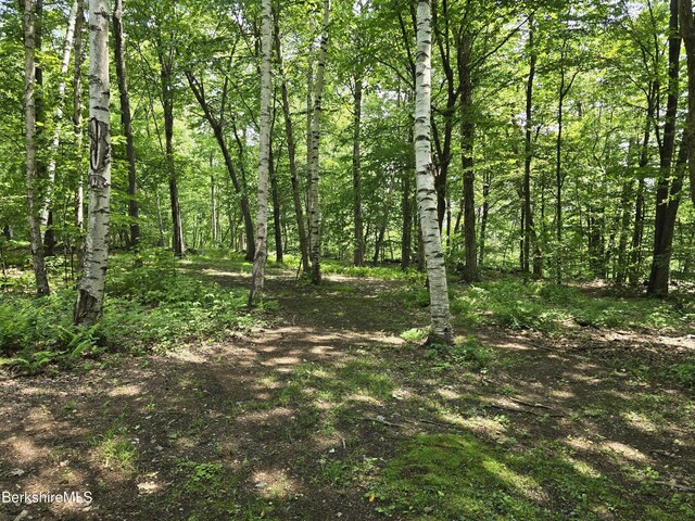 192 Curran Rd, Cheshire, MA 01225 - photo 32