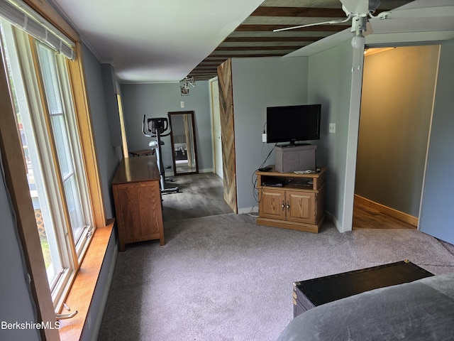 192 Curran Rd, Cheshire, MA 01225 - photo 13
