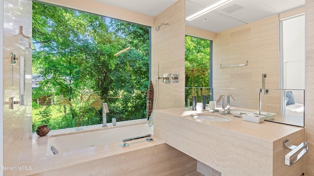 bathroom featuring a bathtub and vanity