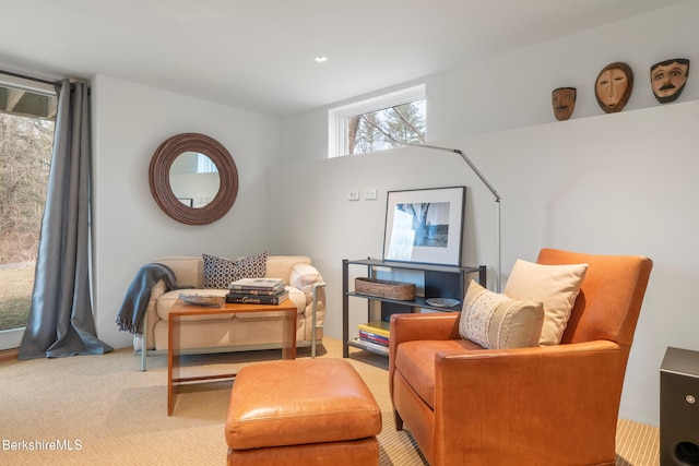 sitting room featuring carpet floors