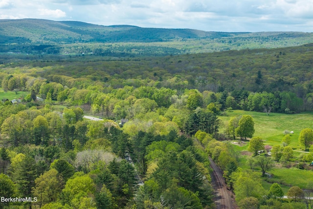 2738 State Rd, Richmond, MA 01254 - drone / aerial view of a heavily wooded area
